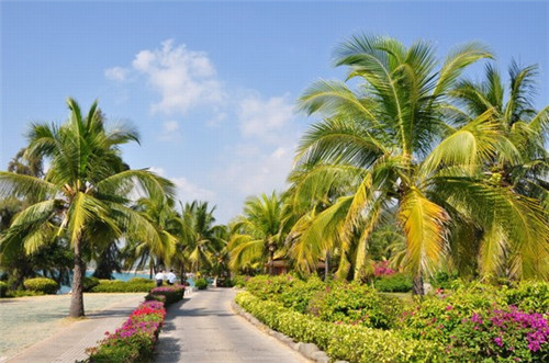 国风火锅店设计说明范文图片，国风火锅店设计说明范文