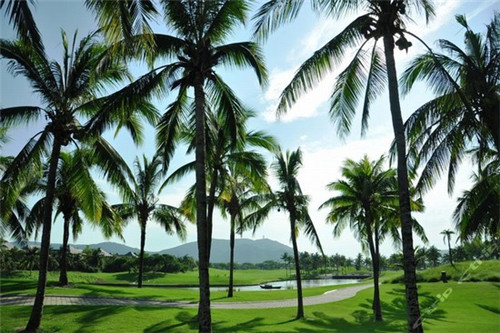 企业年会玩的小游戏（适合企业年会的小游戏）